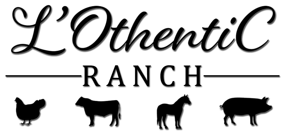 L&rsquo;OthentiC Ranch