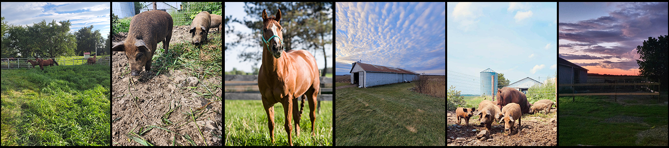 othentic ranch